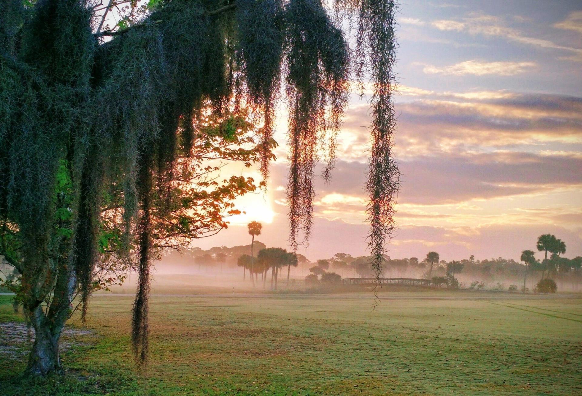 Crane Creek Golf Course in the Morning