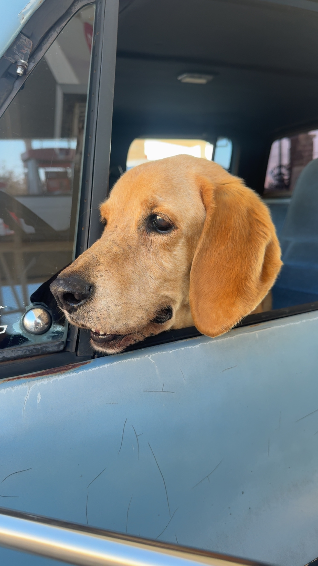 CjUKMVNuYXBjaGF0LzEzLjc5LjEuMCAoaVBob25lMTYsMjsgaU9TIDI2LjIuMTsgZ3ppcCkgAg==