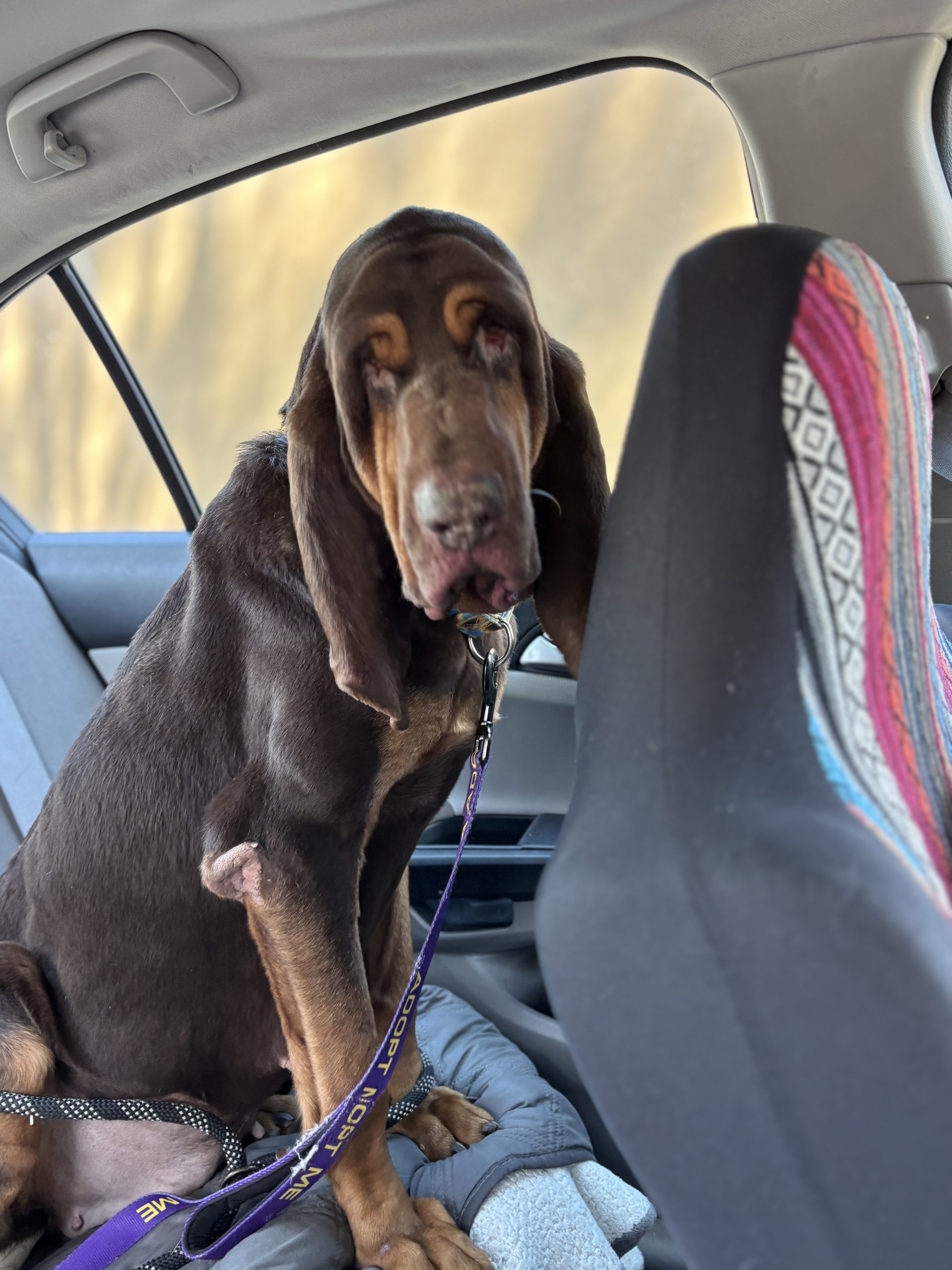 IMG_5623 - Brenden Urick