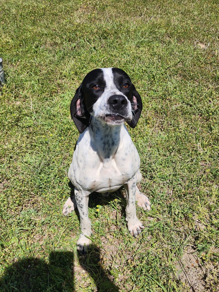 Tux