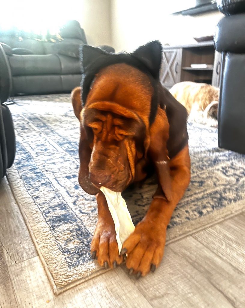 Beau
