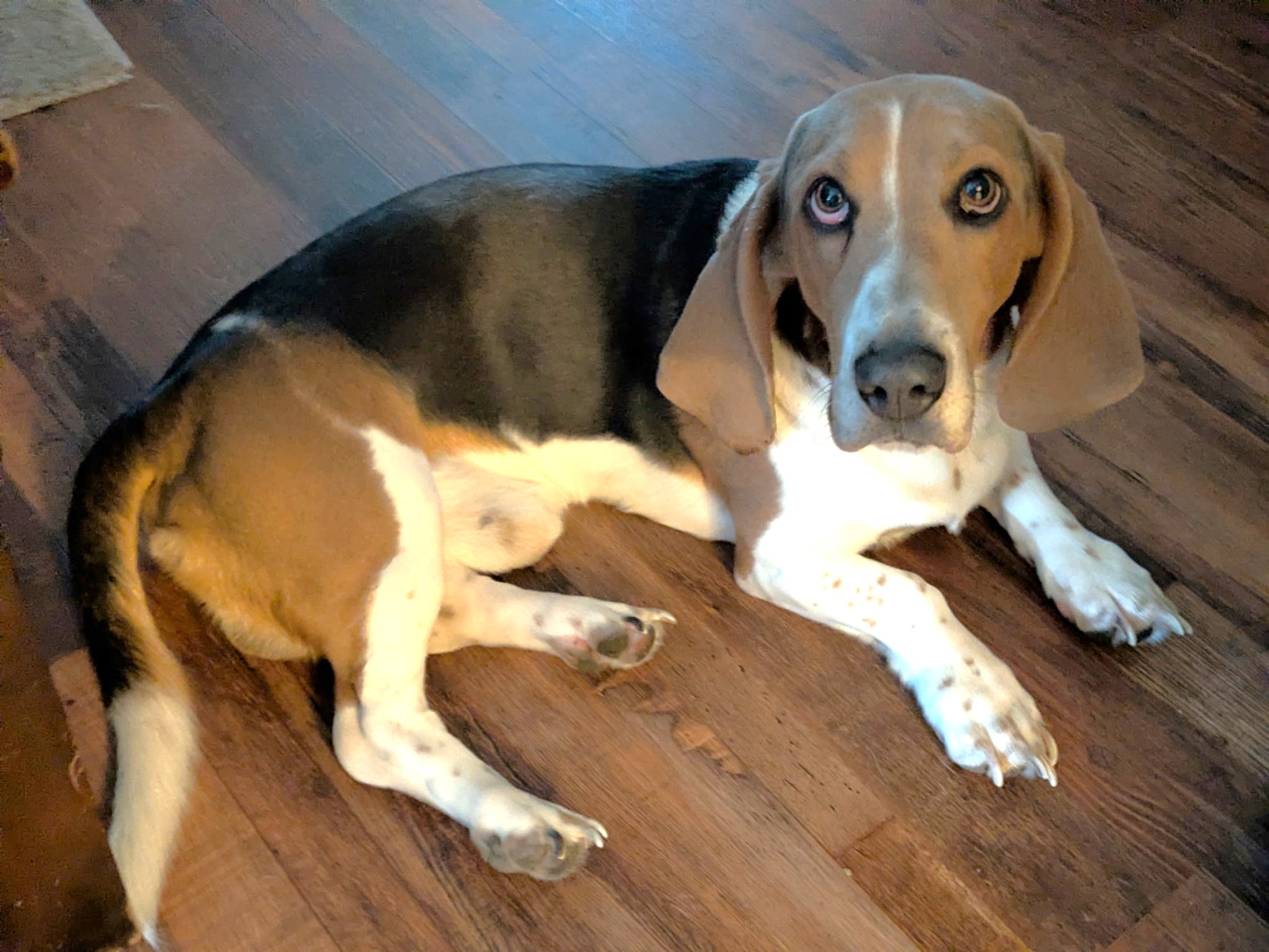 Otis image 3
