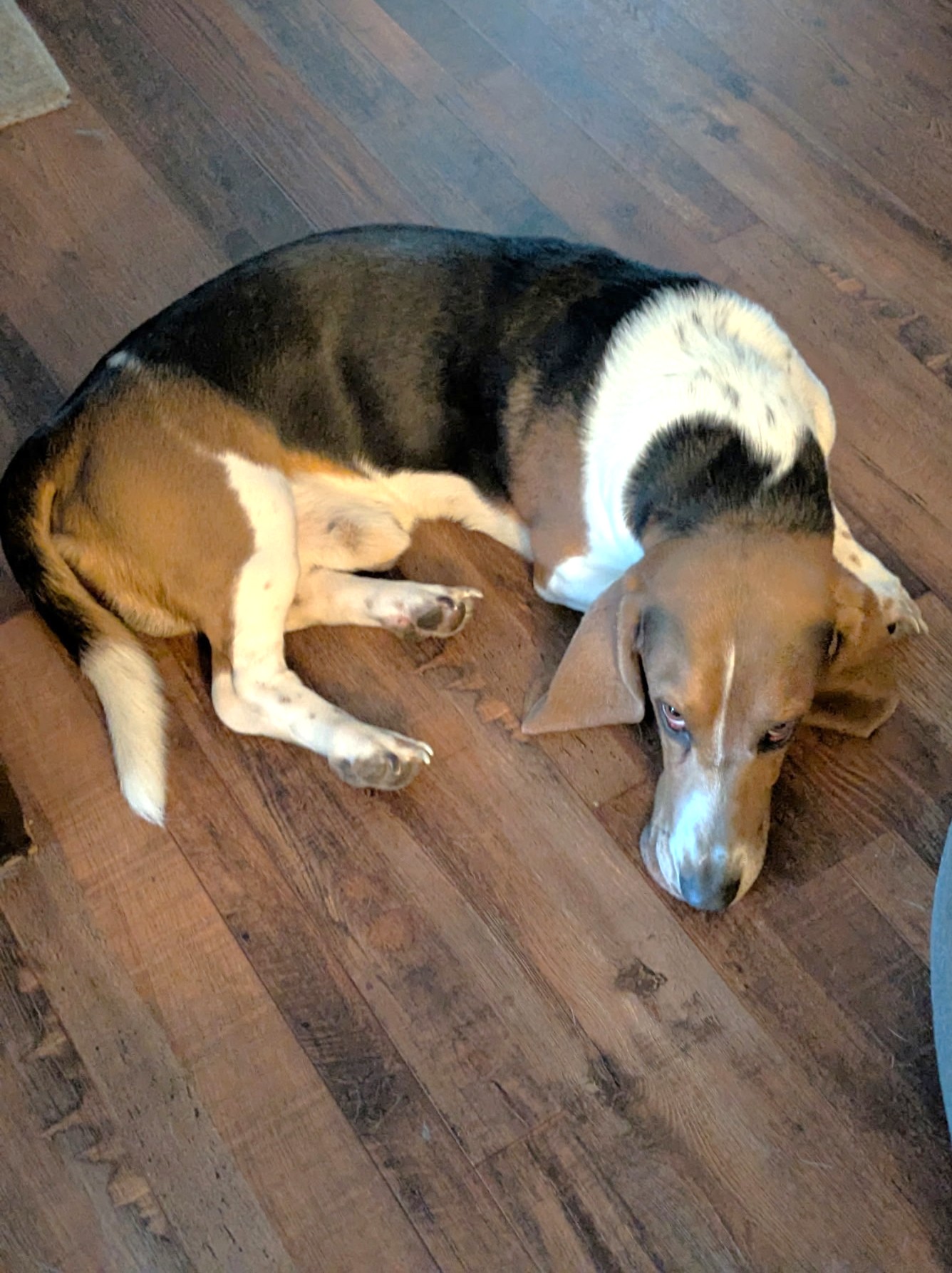 Otis image