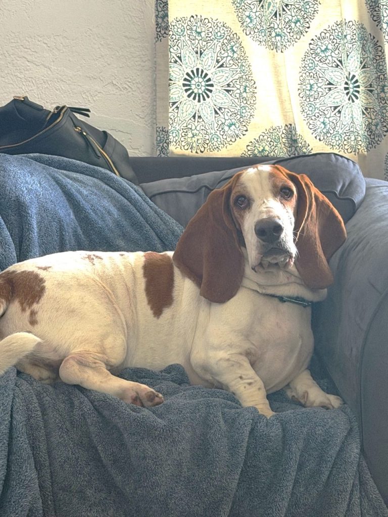 Tucker