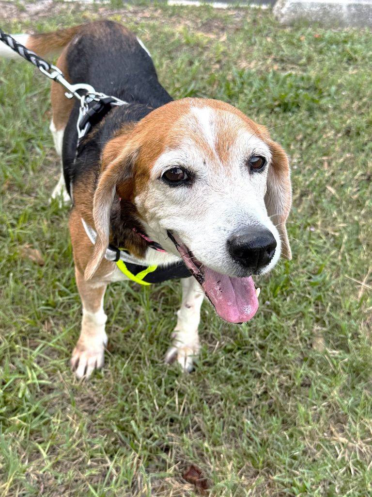 Suzie